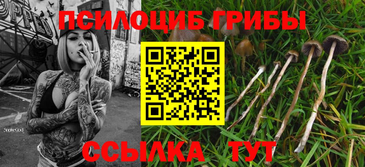 Галлюциногенные грибы Magic Shrooms Полысаево